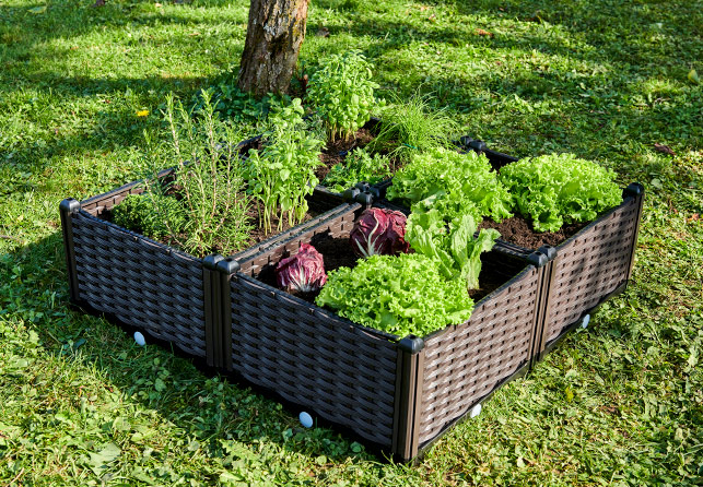 Grow Planter Box